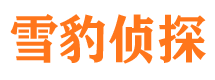 灵武市侦探公司